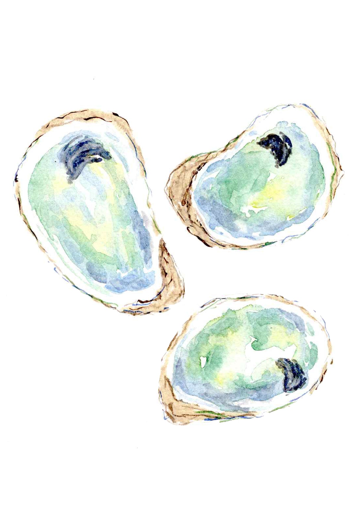 Oyster Trio Watercolor Print